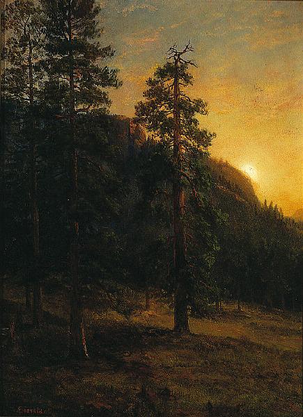Albert Bierstadt California Redwoods oil painting image